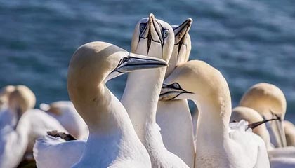 临海最新的高价找中介取公积金违法吗方法分享(临海中介取公积金怎么收费教程)