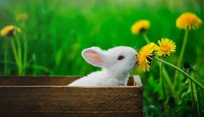 临海最新的高价医保个人账户余额微信查询方法分享(临海医保查询个人账户明细怎么查微信教程)